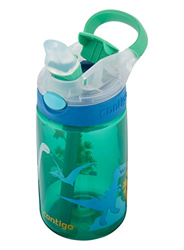 Contigo Gizmo Flip Autospout Kids Water Bottle with Flip Straw