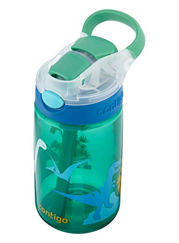 Contigo Gizmo Flip Autospout Kids Water Bottle with Flip Straw