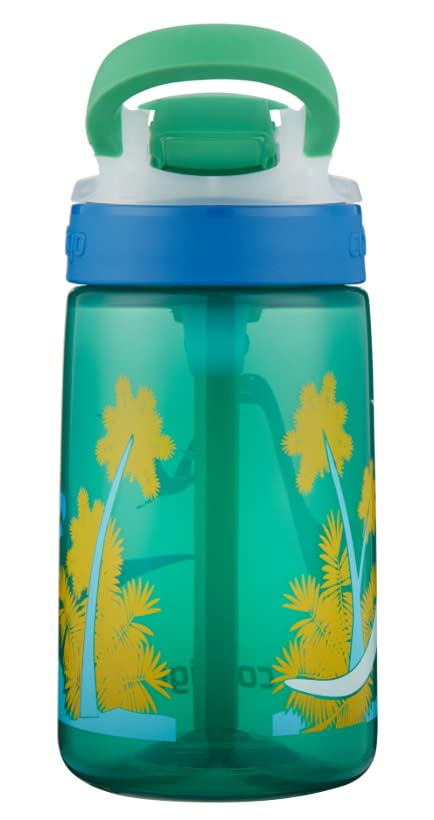 Contigo Gizmo Flip Autospout Kids Water Bottle with Flip Straw