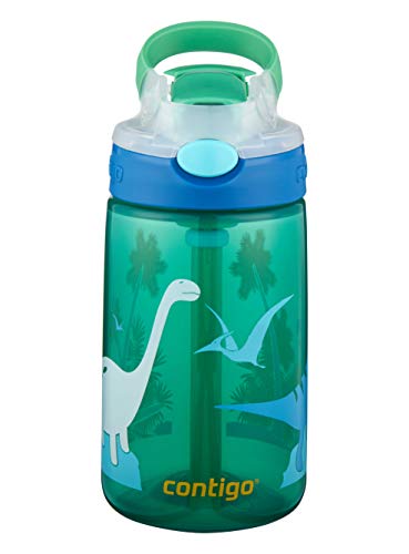 Contigo Gizmo Flip Autospout Kids Water Bottle with Flip Straw